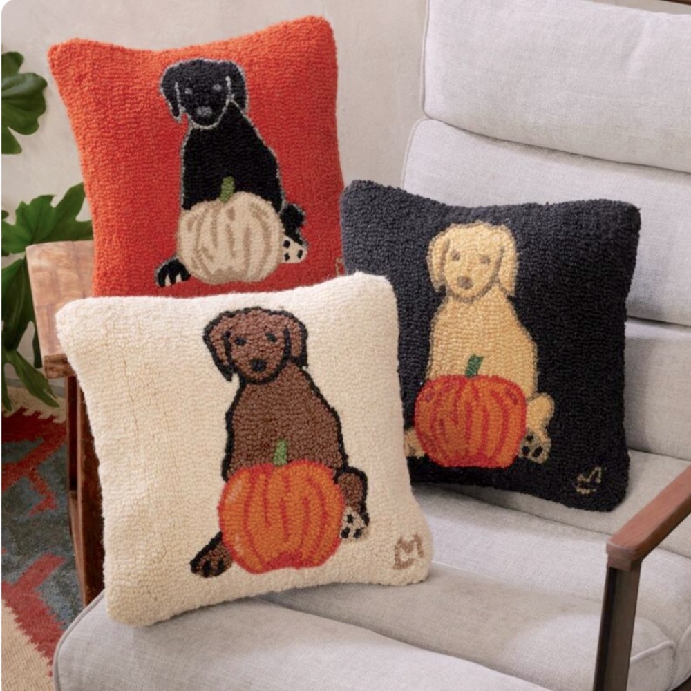 Sundance Catalog Pumpkin Pup throw pillow